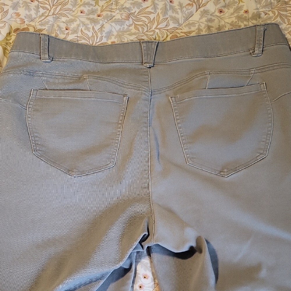 Democracy Absolution Gray Pants- 18W - Picture 3 of 9